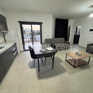 2+1 Apartment for rent_Nicosia