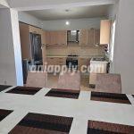 3+1 Apartment for rent_Nicosia_ Hamitkoy