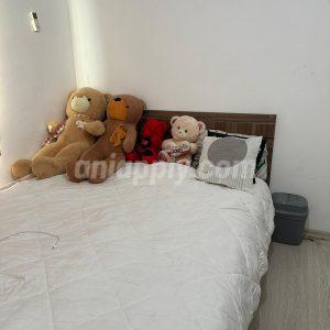 A room in 2+1 Apartment for rent_Nicosia_Hamitkoy